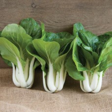 Mini Pak Choi (Cải thìa Mini) Wabu 1kg