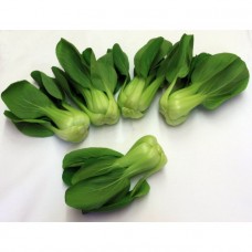 Mini Shanghai Pak Choi (Cải thìa Shanghai Mini) Wabu 1kg